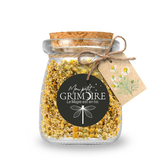 🌼 Camomille – Plante de paix intérieure et de guidance douce