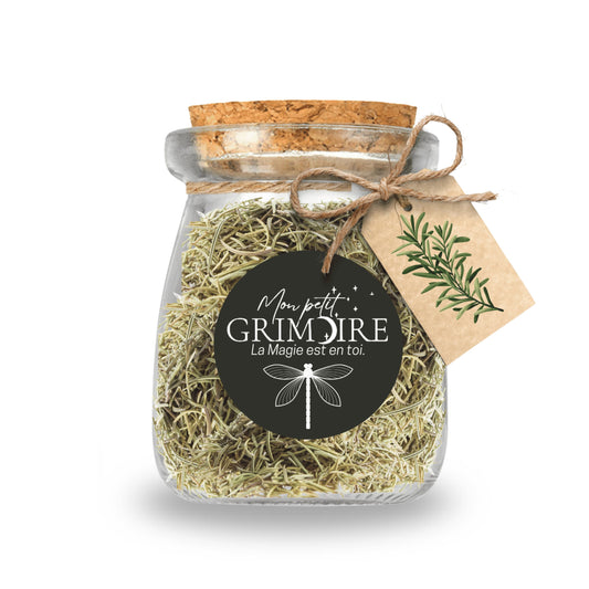 🌿Esprit de Romarin – Rituel de force et de clarté