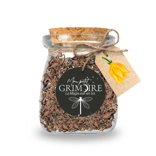🌼 Esprit d’Ylang-Ylang – Magnétisme et Harmonie des Sens